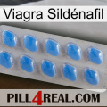 Viagra Sildénafil 22